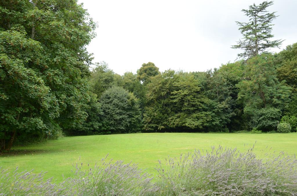 Les Mazeraies Maison D'Hotes Avec Spa Savonnieres Bagian luar foto