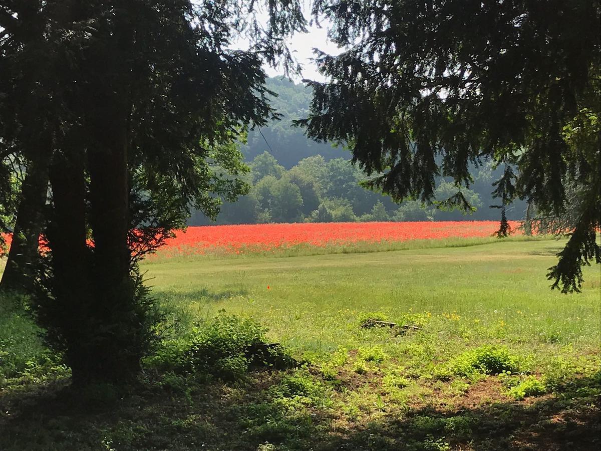 Les Mazeraies Maison D'Hotes Avec Spa Savonnieres Bagian luar foto