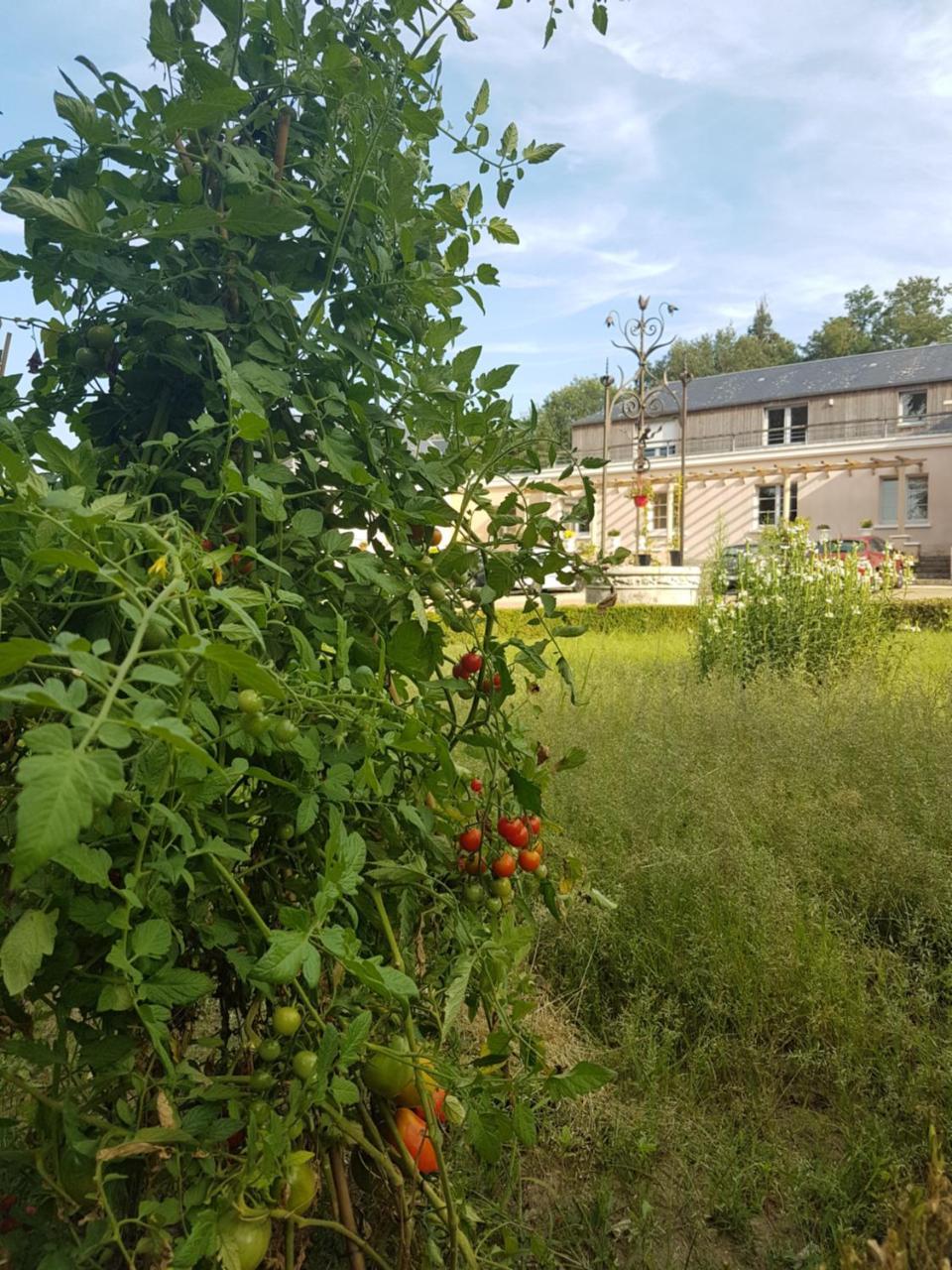 Les Mazeraies Maison D'Hotes Avec Spa Savonnieres Bagian luar foto