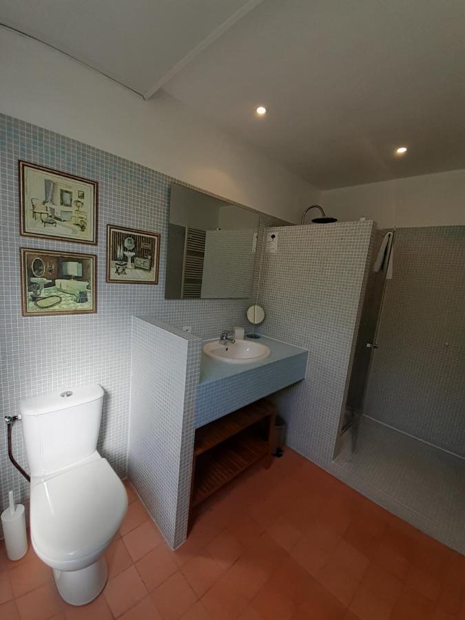 Les Mazeraies Maison D'Hotes Avec Spa Savonnieres Bagian luar foto